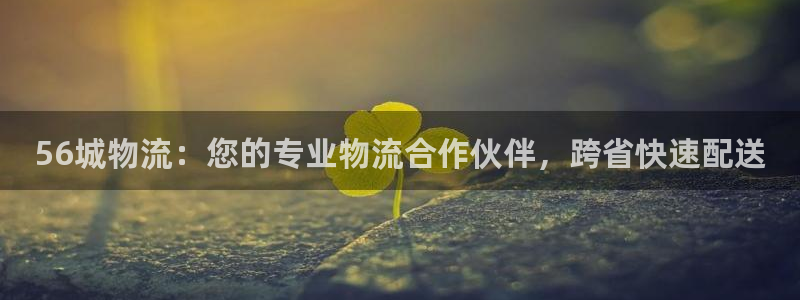 南宫28圈官网