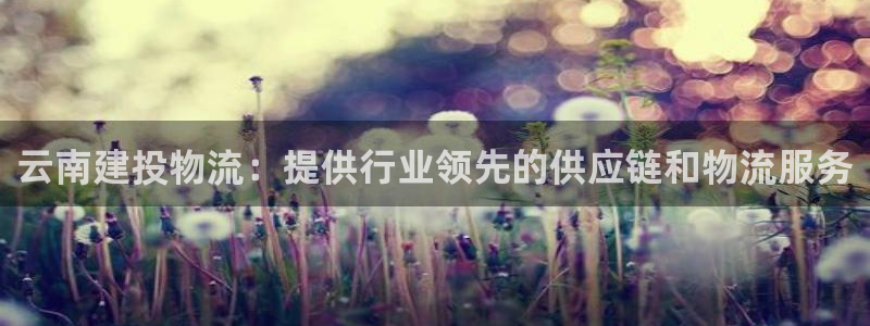 28圈官网版所有版本