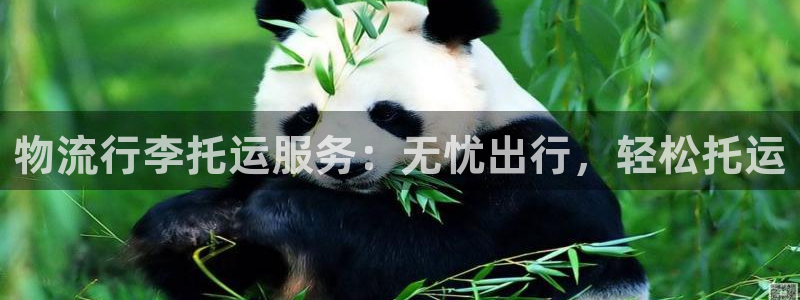 28圈注册网站链接：物流行李托运服务