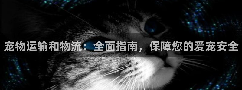 28圈大舞台