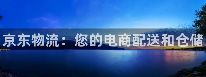 28圈游戏链接：京东物流：您的电商配