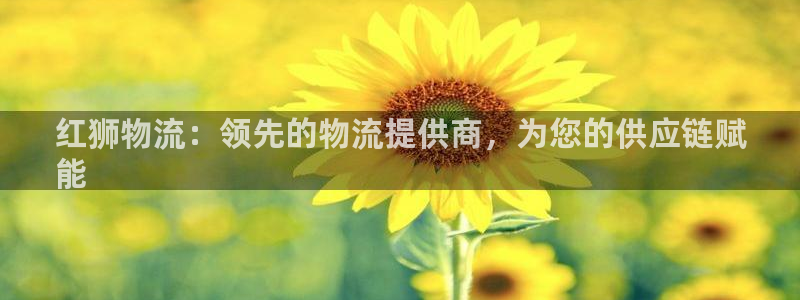 28圈官方官网版：红狮物流：领先的物