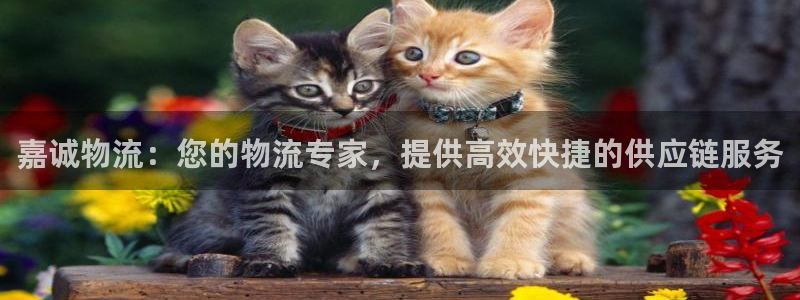 28圈如何看012路计划：嘉诚物流：