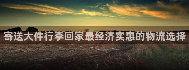 28圈登录网：寄送大件行李回家最经济