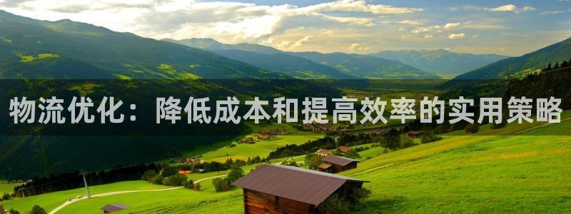 28圈充值方式：物流优化：降低成本和