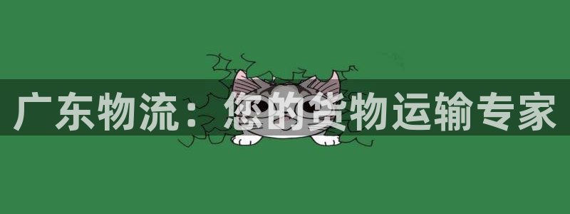 28圈官网预测：广东物流：您的货物运