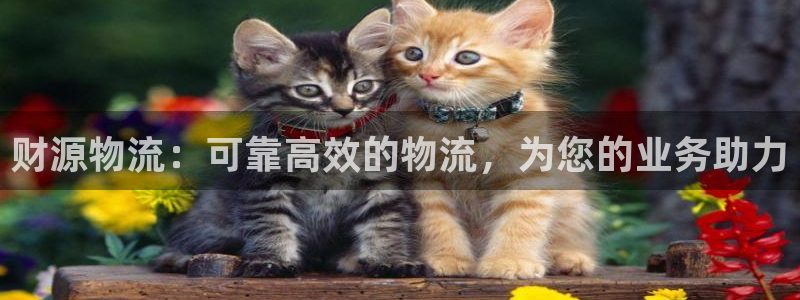 28圈模拟器下载：财源物流：可靠高效