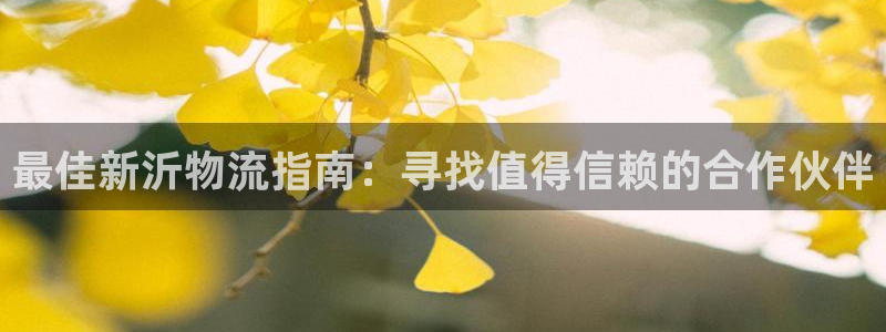 28圈充值不处理