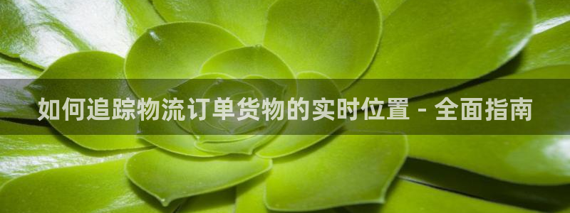 28圈官网注册：如何追踪物流订单货物