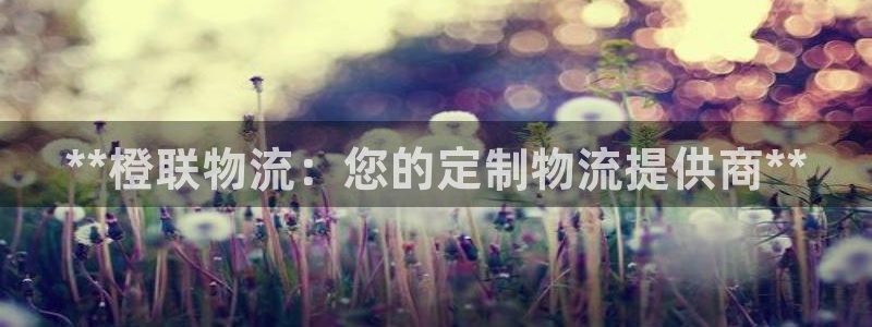 28圈加拿大技巧