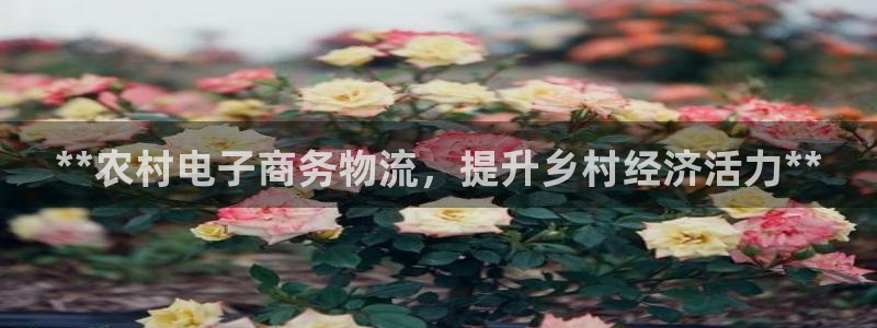 28圈推广链接是多少粉丝：**农村电
