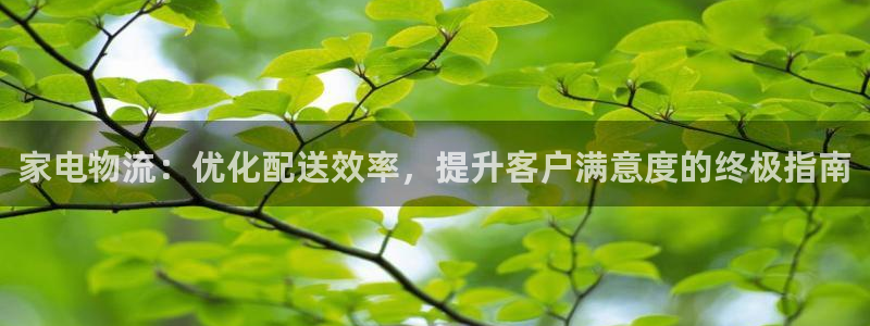 28圈登陆网：家电物流：优化配送效率
