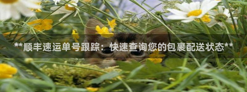 28圈链官网：**顺丰速运单号跟踪：