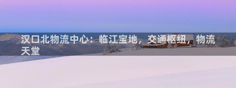 28圈游戏：汉口北物流中心：临江宝地
