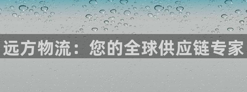 28圈预测网