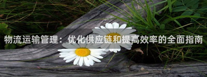 28圈电子游戏