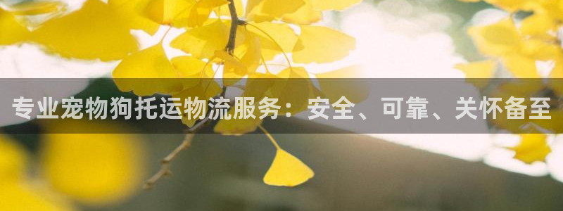 28圈连输10天