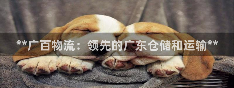 28圈模拟器在线使用：**广百物流：