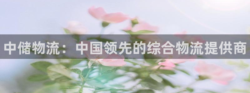 28圈退款教程：中储物流：中国领先的