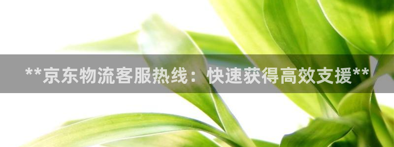 28圈注册网站谁有：**京东物流客服