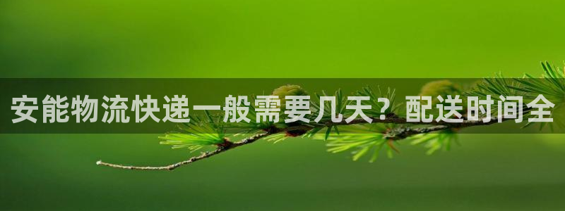 28圈加拿大怎么玩：安能物流快递一般