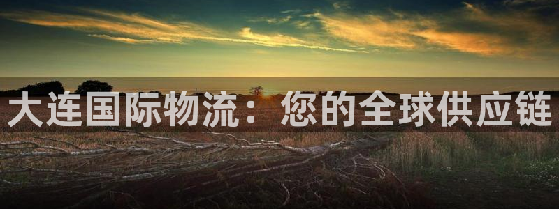 28圈人头费：大连国际物流：您的全球