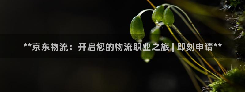 28圈.ccmpc预测：**京东物流