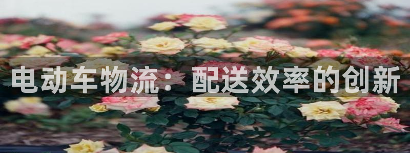 28圈注册二维码：电动车物流：配送效