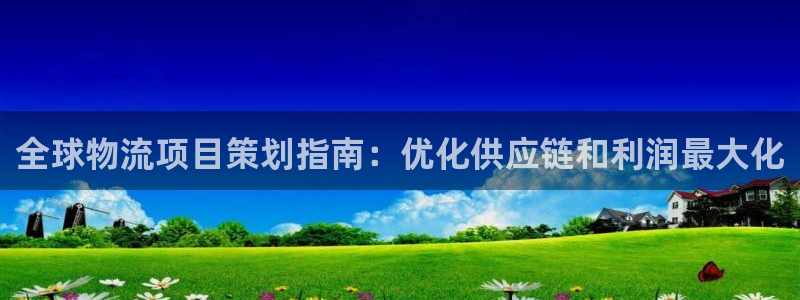 28圈加拿大6.0：全球物流项目策划
