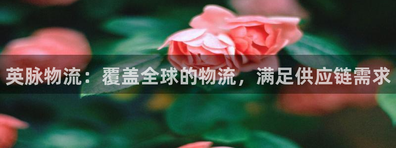 28圈玩法：英脉物流：覆盖全球的物流
