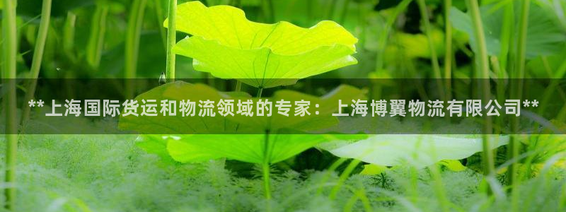 28圈注册网站链接怎么弄：**上海国