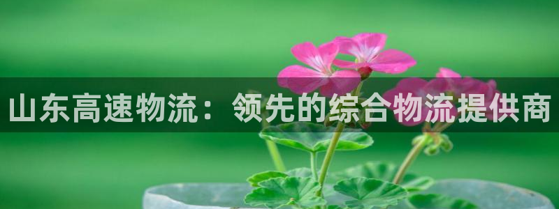 28圈登录网：山东高速物流：领先的综
