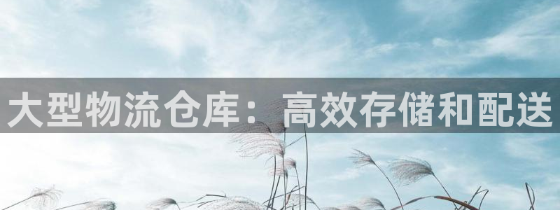 28圈推广链接是多少粉丝：大型物流仓