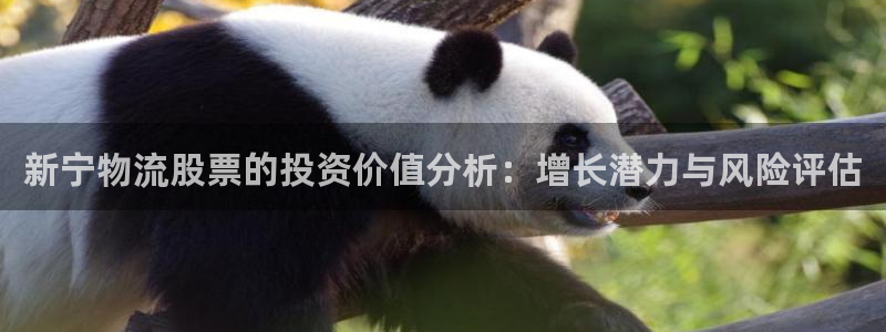 28圈机器人是什么软件：新宁物流股票