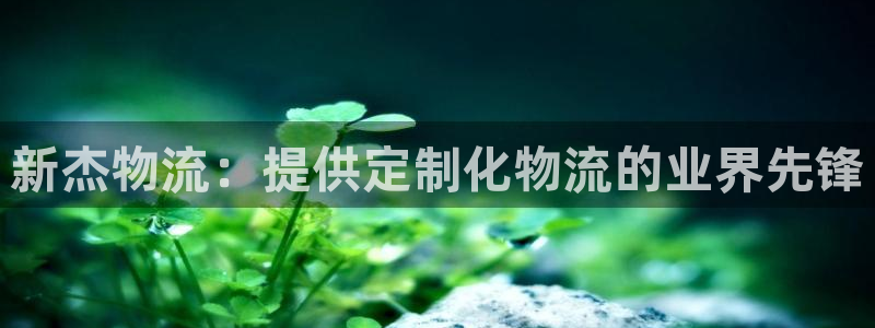 28圈游戏官网入口：新杰物流：提供定