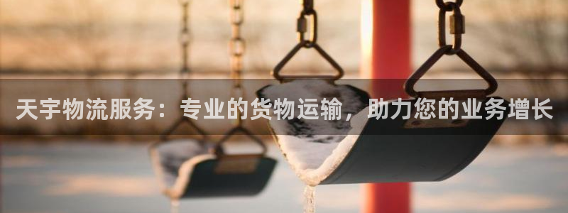 28圈平台注册：天宇物流服务：专业的
