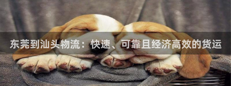 28圈注册登录流程：东莞到汕头物流：