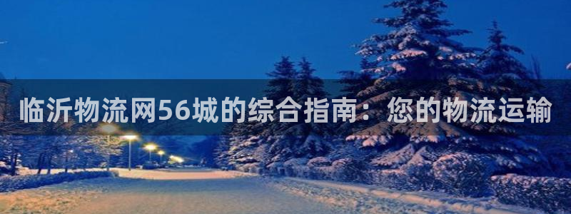 28圈反水怎么算：临沂物流网56城的