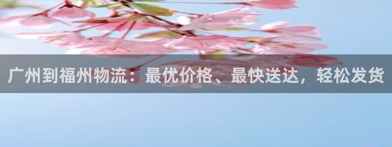 28圈模拟：广州到福州物流：最优价格