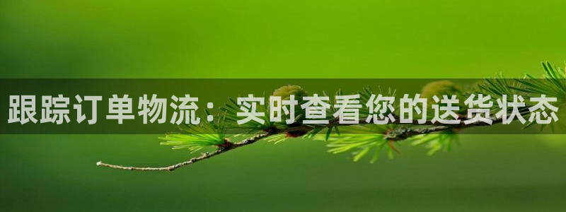 28圈注册网站加拿大：跟踪订单物流：
