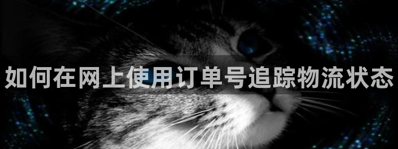 28圈连输10天：如何在网上使用订单