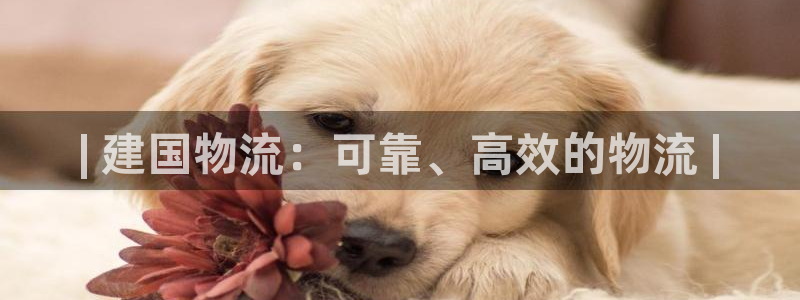 28圈充值为什么充不了：| 建国物流