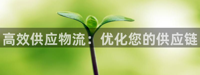28圈注册网站链接怎么弄：高效供应物