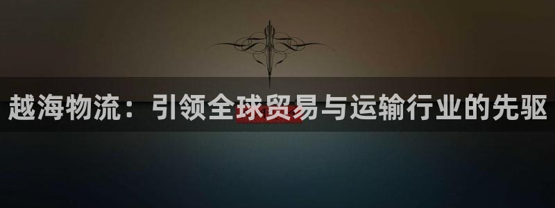 28圈最稳打法：越海物流：引领全球贸
