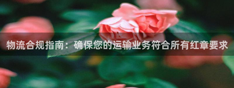 28圈提现未达5期是什么意思：物流合