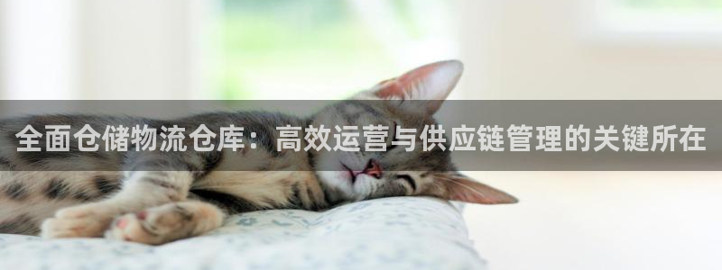 28圈圈：全面仓储物流仓库：高效运营