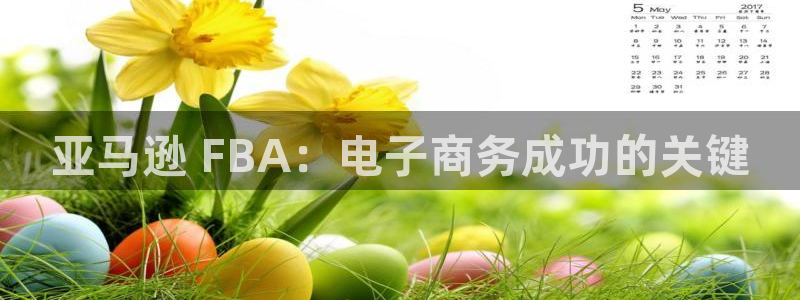 28圈是什么是赌博吗?：亚马逊 FB