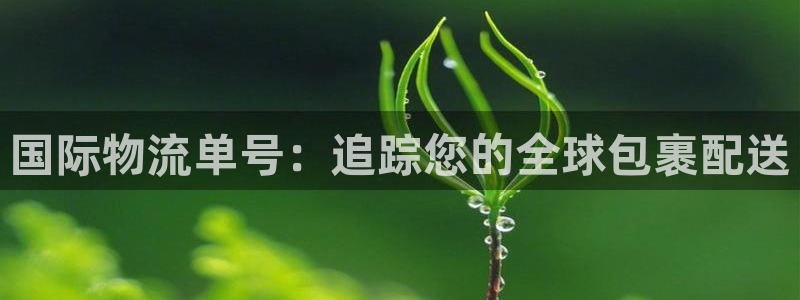28圈防失联网址：国际物流单号：追踪