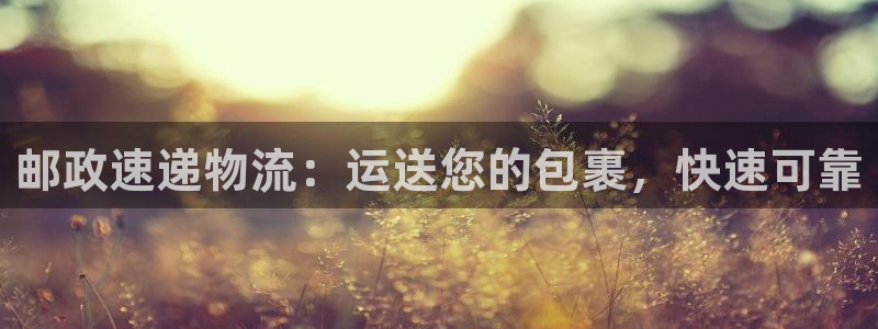 28圈注册平台：邮政速递物流：运送您