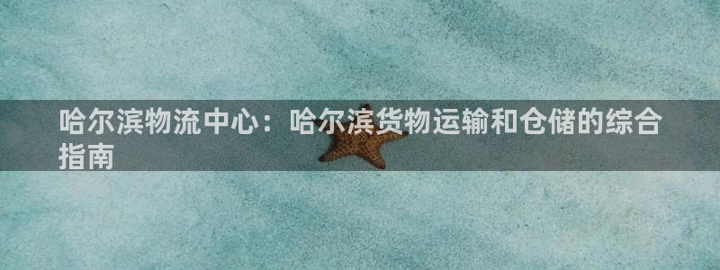 28圈充值不处理会怎么样：哈尔滨物流